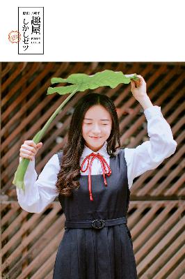 最好看的2019年中文视频